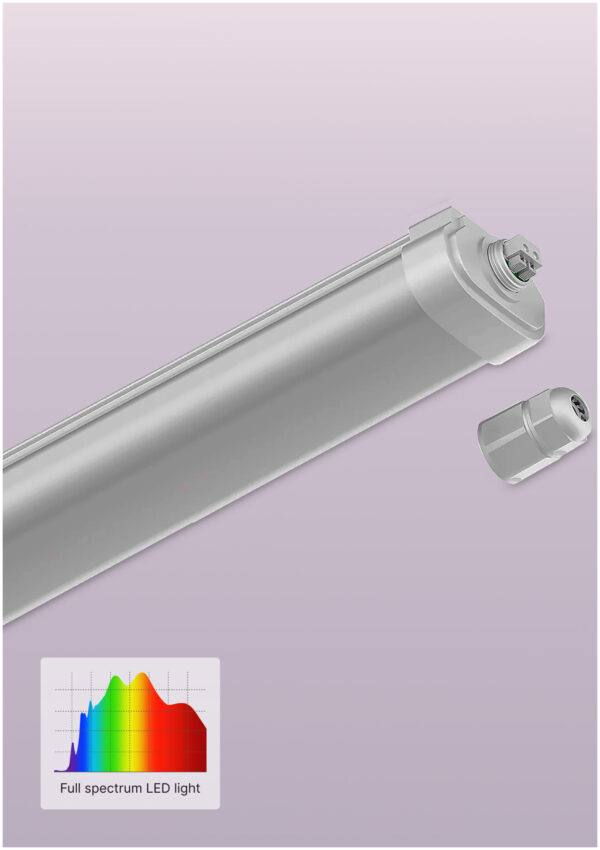Sunlight  80W poultry LED light PF-80125